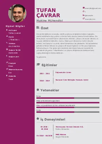 Makine Mühendisi Cv Örnekleri cv indir